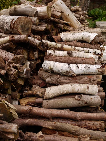 Wooden Texture Woodpile — Stock Photo, Image