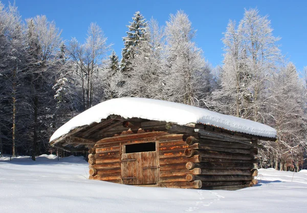 クリスマスや年末年始のカードのためのカラフルな背景 — ストック写真