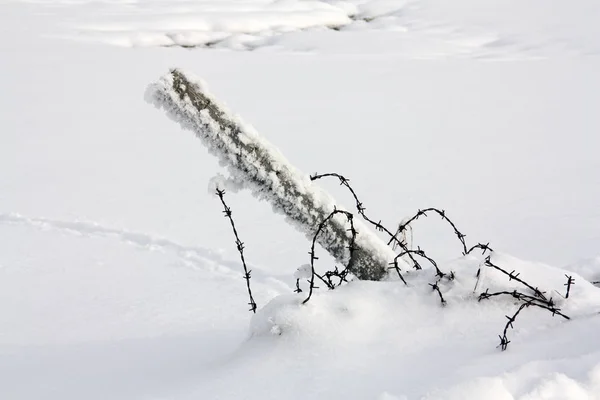 Drut Kolczasty Śniegu — Zdjęcie stockowe