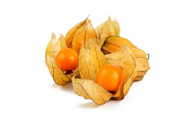 Farolillos Physalis Vista Cierre — Foto de Stock