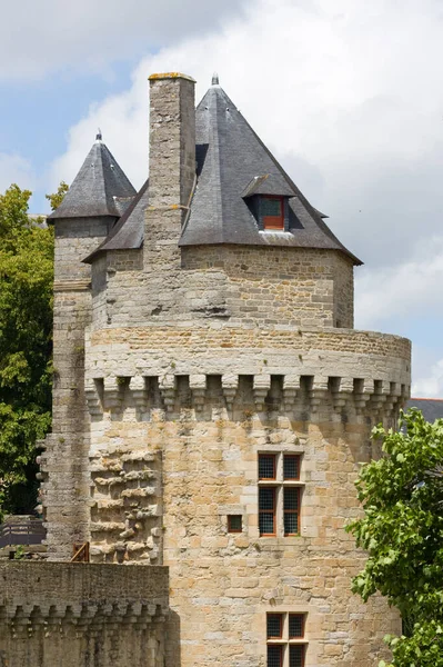 Malerischer Blick Auf Majestätische Mittelalterliche Architektur — Stockfoto