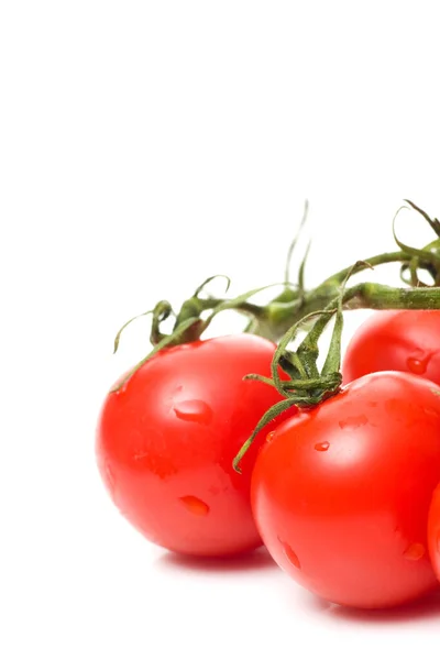Red Ripe Organic Tomatoes — Stock Photo, Image