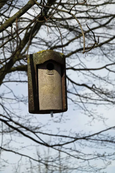 Vogelhuisje Klein Huisje Voor Vogels — Stockfoto