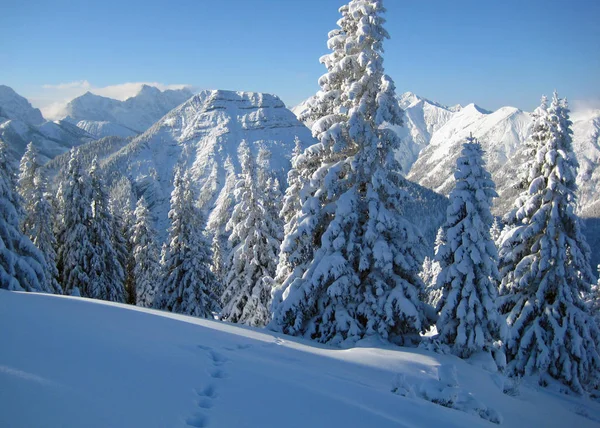 Прекрасний Вид Зимовий Пейзаж — стокове фото