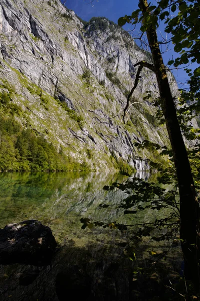 Sur Obersee Cristallin Coeur Parc National Berchtesgaden — Photo