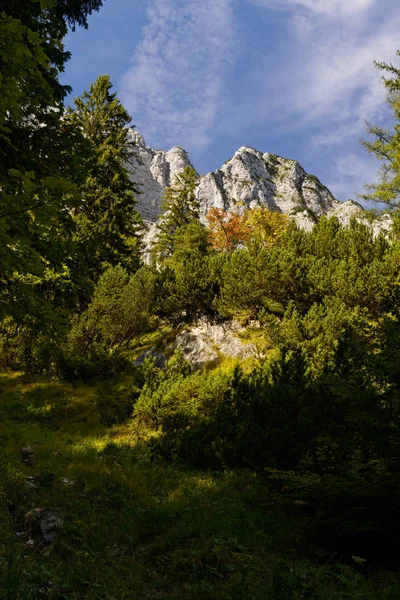Menuju Halsalm Berchtesgaden Taman Nasional Germany — Stok Foto