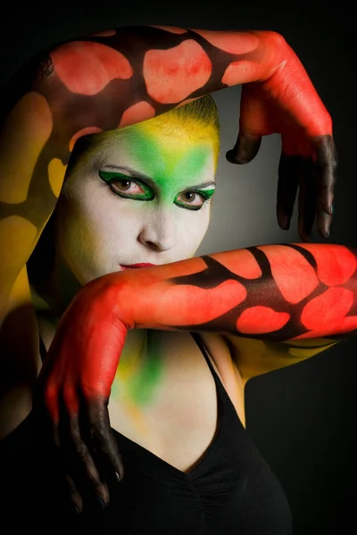 Retrato Una Mujer Joven Con Maquillaje Brillante —  Fotos de Stock