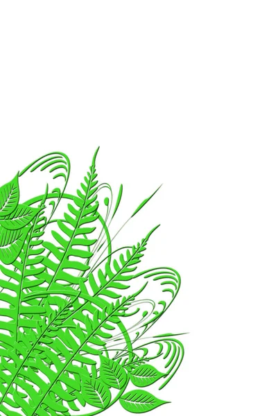 绿色蕨类植物 森林植物叶 — 图库照片