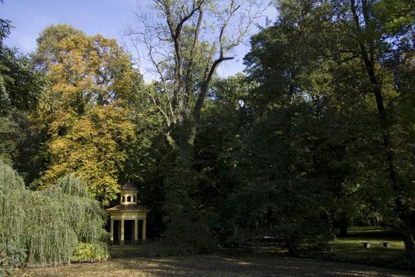 Vista Parco Nella Città Tsarskoye Selo — Foto Stock