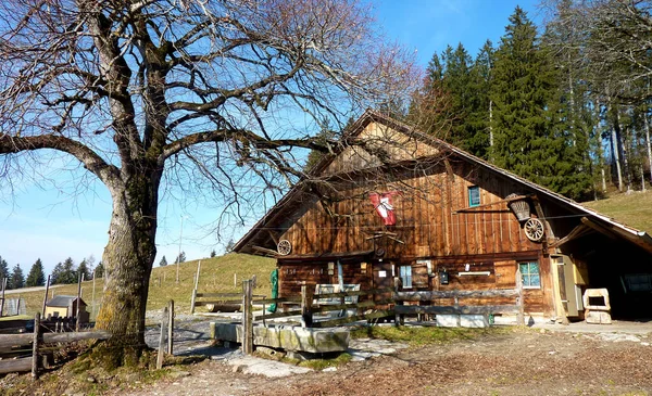 Odlišná Architektura Selektivní Zaměření — Stock fotografie