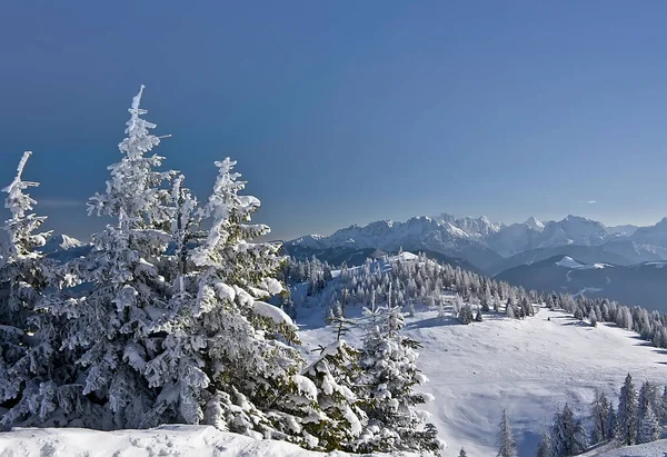 Χειμώνας Στο Dobratsch Καρινθία — Φωτογραφία Αρχείου