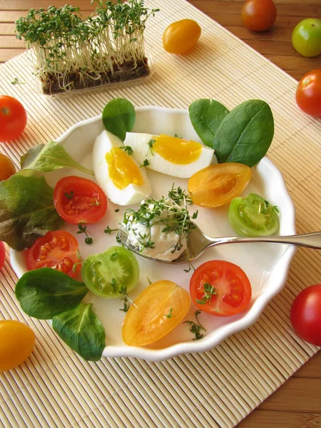 Bola Queijo Creme Com Cress — Fotografia de Stock