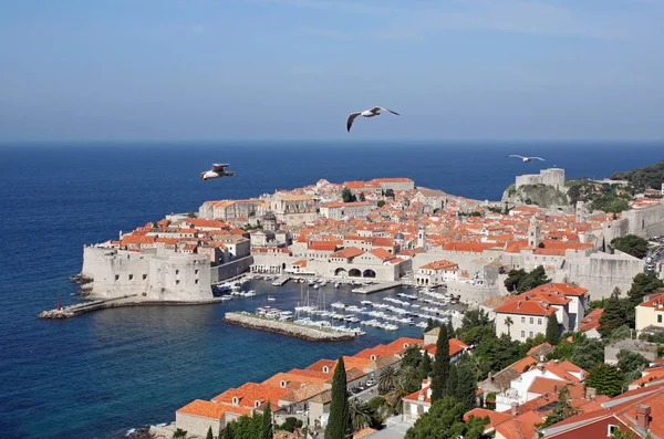 Adriatyk Jest Najbardziej Wysuniętym Północ Ramieniem Morza Śródziemnego — Zdjęcie stockowe