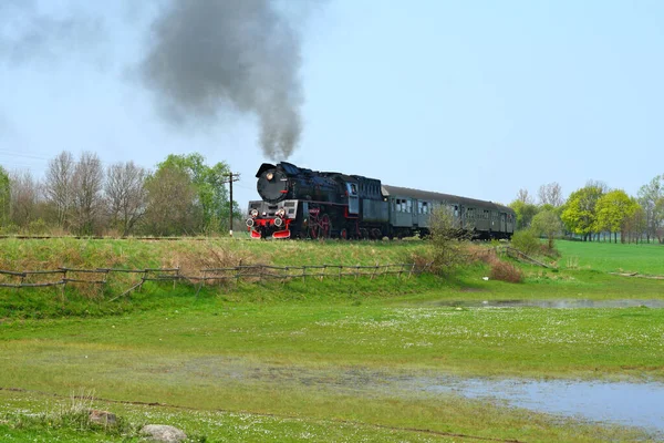 带有蒸汽机车的农村景观 — 图库照片