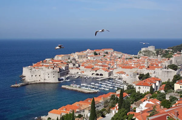 The Adriatic is the northernmost arm of the Mediterranean Sea — Stock Image Adriatic Northernmost Arm Mediterranean Sea Royalty Free Stock Photos