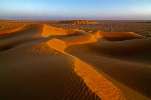 砂丘の景観選択的焦点 — ストック写真