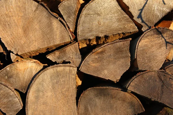 Tree Logs Timber Firewood Trunk — Stock Photo, Image