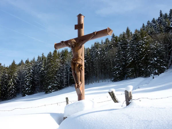 Dřevěná Socha Ježíše Kříži Před Mnoha Jedlemi Zimě — Stock fotografie