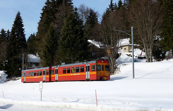 Pequeño Tren Rojo Montaña Del Jura Frente Los Abetos Invierno — Foto de Stock