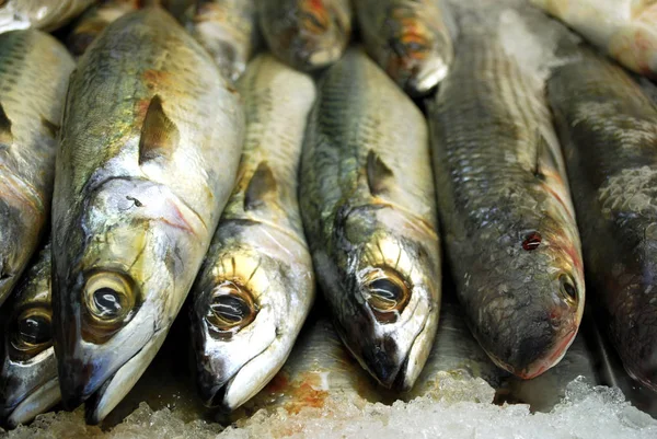 Close Peixes Frescos Uma Barraca Mercado — Fotografia de Stock