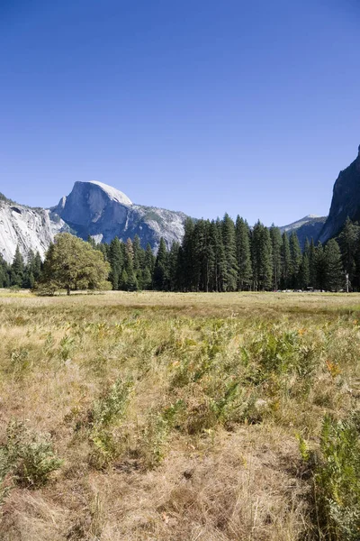 Halbe Kuppel Yosemite Usa — Stockfoto