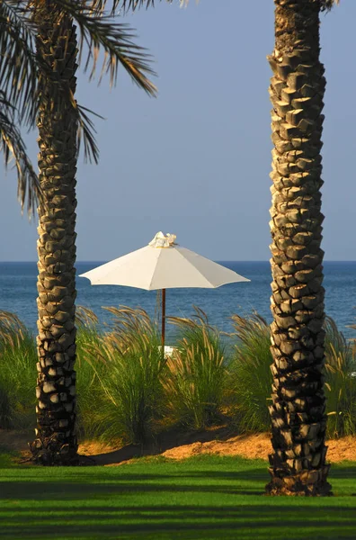 Tropik Bir Sahil Cennetinde Palmiye Şemsiye — Stok fotoğraf