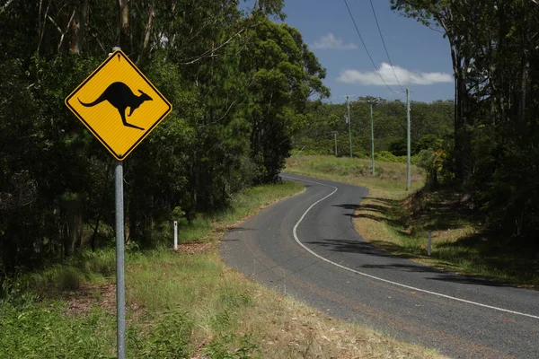 Een Bord Waarschuwt Voor Kangoeroes Een Landweg Queensland Australië — Stockfoto