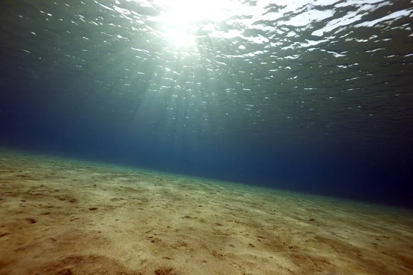 Szenischer Blick Auf Die Unterwasserwelt — Stockfoto