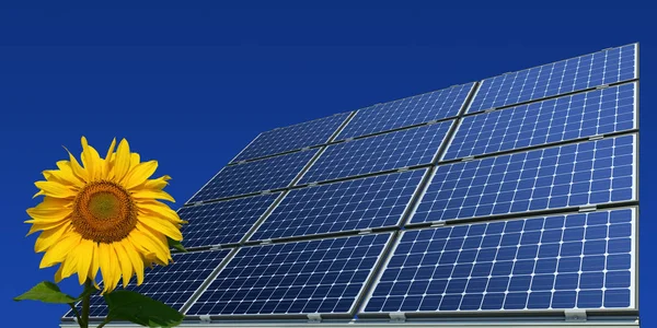 Monocrystalline Solar Panels Sunflower — Stock Photo, Image