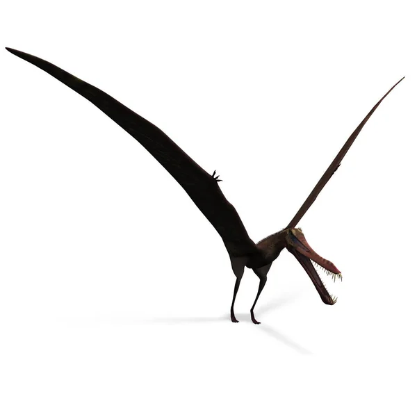 Dinosaurien Anhanguera Pterosaurie Rendering Med Klippbana Och Skugga Över Vitt — Stockfoto