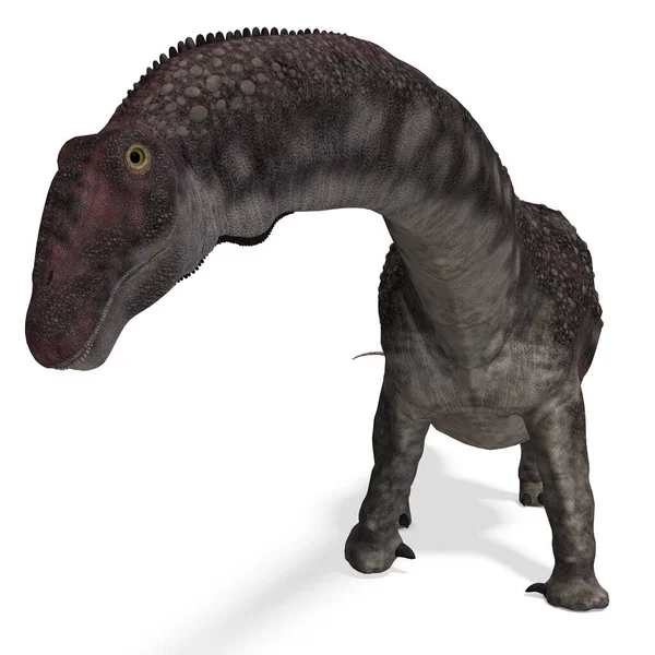 Dinozaur Diamantinasaurus Renderowanie Ścieżką Wycinania Cieniem Nad Bielą — Zdjęcie stockowe