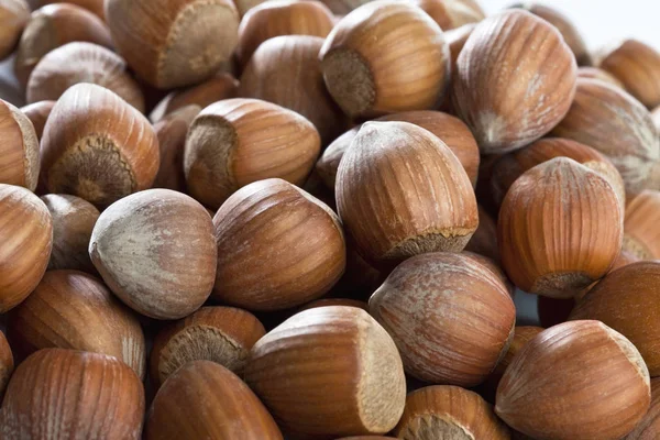 Närbild Livsmedel Selektiv Inriktning — Stockfoto