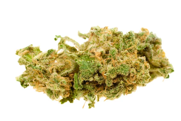 Close Marijuana Cannabis Shot Macro Lens — Stock Photo, Image