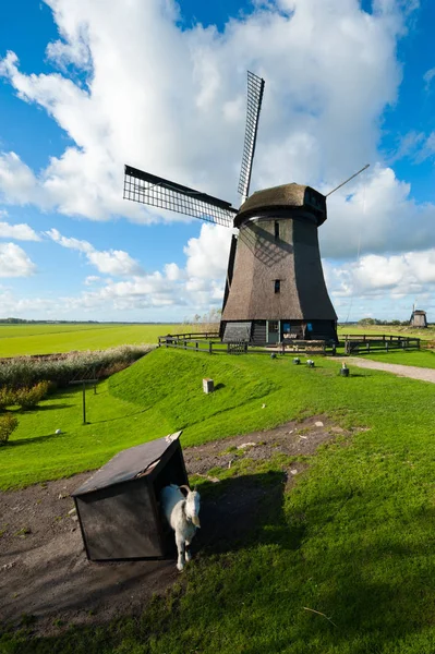 Beautiful Windmill Landscape Netherlands Schermerhorn Schermer Noord Holland — Stock Photo, Image