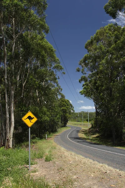 Een Bord Waarschuwt Tegen Kangoeroes Een Landweg Queensland Australië — Stockfoto