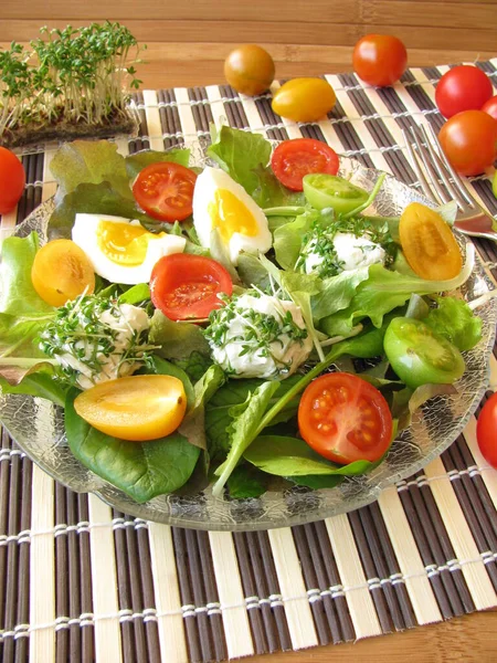 Salada Com Tomates Queijo Macio — Fotografia de Stock