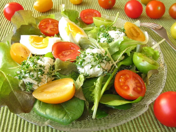 Salat Mit Tomaten Und Frischkäsekugeln — Stockfoto