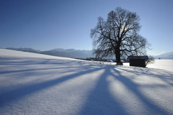 Vista Panoramica Bellissimo Paesaggio Alpino — Foto Stock