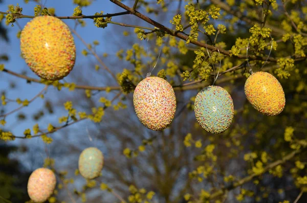 Easter Eggs Branch — Stock Photo, Image