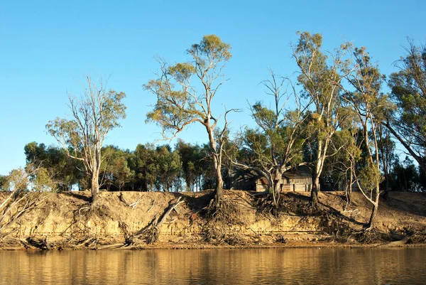 Een Oud Houten Huis Tussen Bomen Aan Rivier Murray — Stockfoto