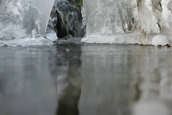 Bella Vista Della Scena Della Natura — Foto Stock