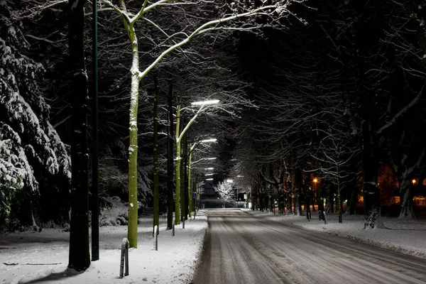 Besneeuwde Weg Nachts — Stockfoto