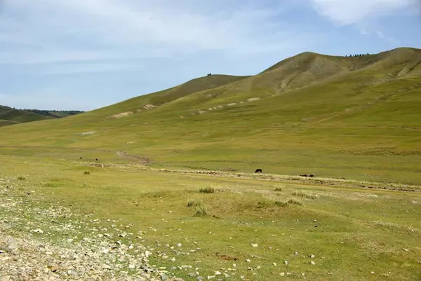 Krajobrazy Mongolii — Zdjęcie stockowe