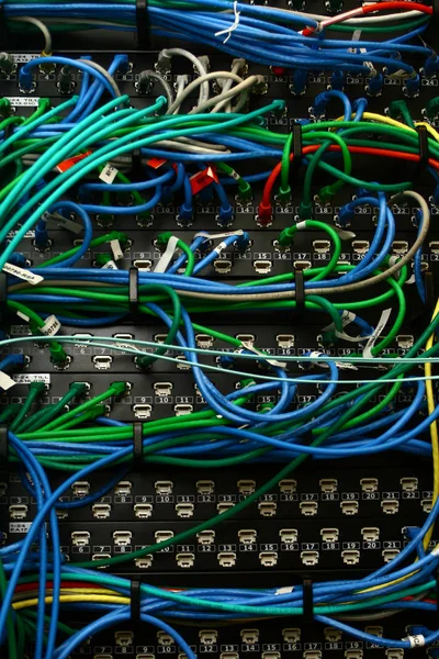 Καλώδια Ethernet Πολλά Χρώματα — Φωτογραφία Αρχείου
