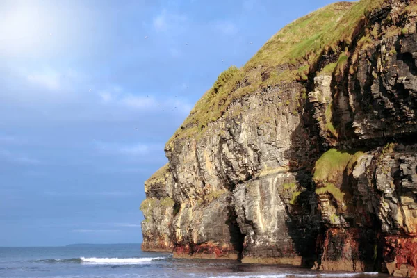 View Beach Cliffs Ballybunion Kerry Ireland Gulls Flying — Stock Photo, Image