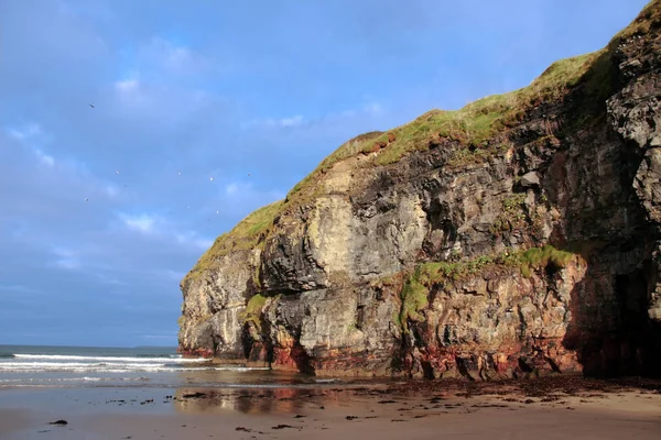 View Beach Cliffs Ballybunion Kerry Ireland Abundance Seaweed Storm — Stock Photo, Image