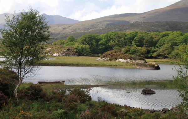 Irland Ring Kerry Killarney Lake — Stockfoto
