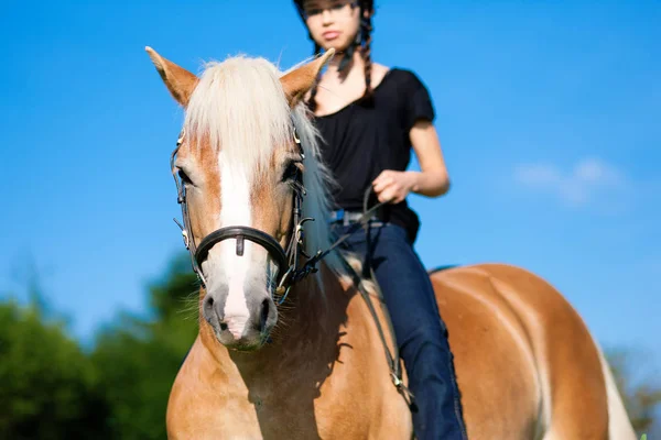 Dospívající Dívka Koněm — Stock fotografie