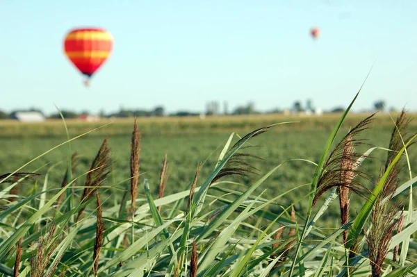 Hot Air Balloons Flying — Stock Photo, Image