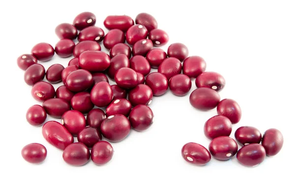 フリジョールやラテンアメリカからの赤豆 乾燥し きれい 白地に — ストック写真